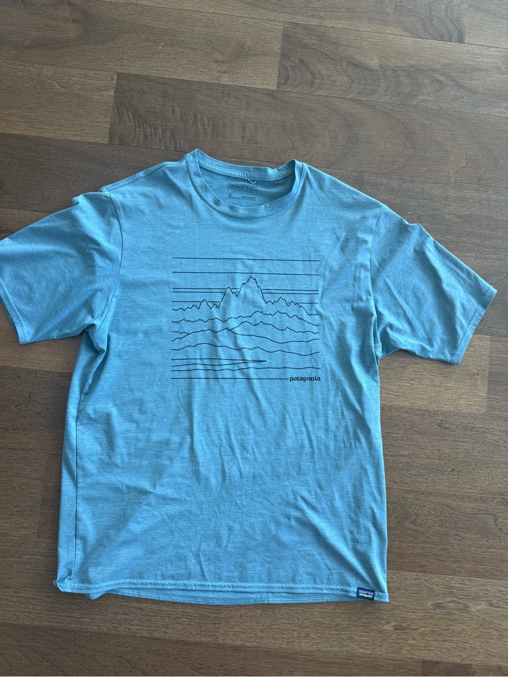 Patagonia Light Blue Mountain Line Graphic Crew Tee